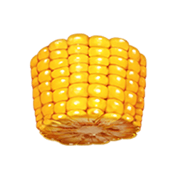 Icon 5 Sizzling Spins