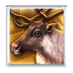 Icon 2 Wolf Fang Snowfall