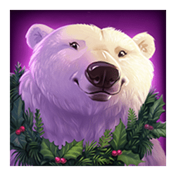 Icon 2 Polar Paws