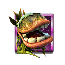 Icon 2 Back to Venus