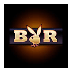 Icon 9 Playboy Fortunes