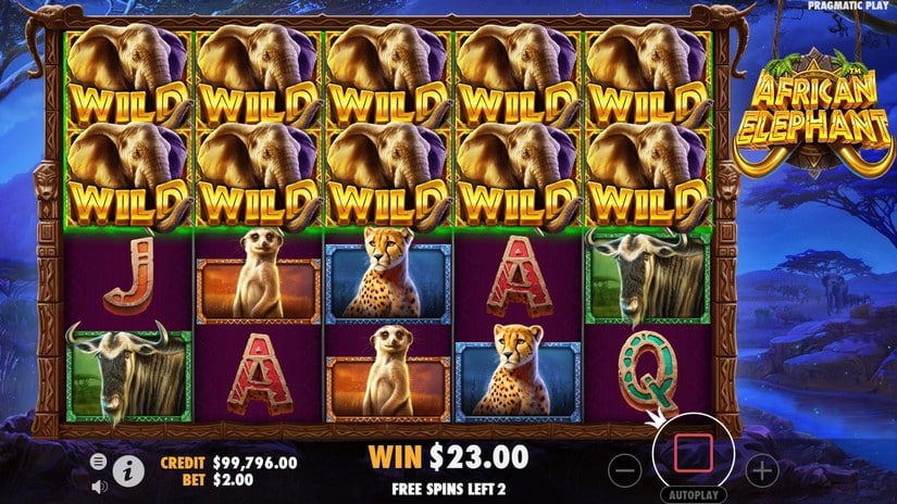 African Elephant slot screen 5