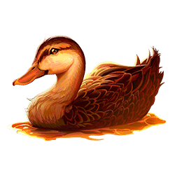 Icon 4 Wild Survivor