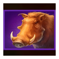 Icon 6 Lion Gems: Hold and Win