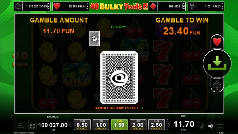 40 Bulky Fruits 6 Reels slot screen 4