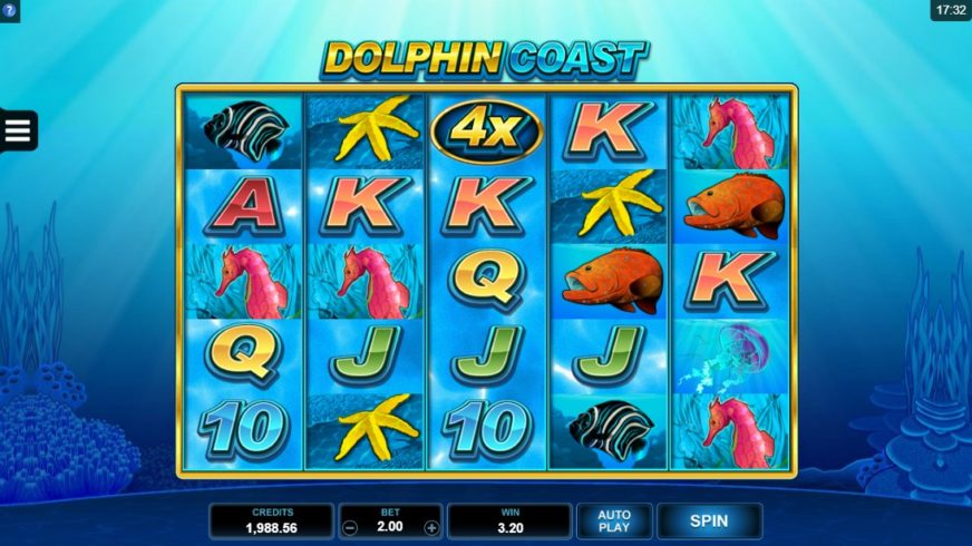 Dolphin Coast slot screen 4