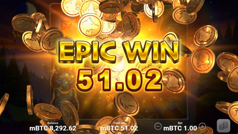 Black Wolf Hold and Win slot screen 5