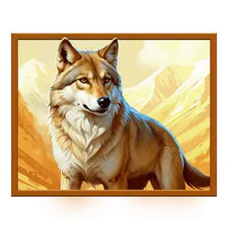 Icon 3 Himalayan Wild