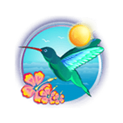 Scatter of Hawaii Cocktails Slot