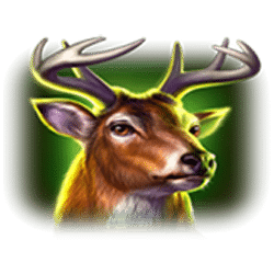 Icon 5 Buffalo Thunderstacks