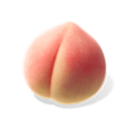 Icon 4 Ninja Raccoon Frenzy