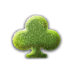 Icon 7 Wild Wild Fruit