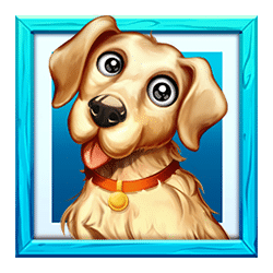 Icon 5 The Dog Heroes