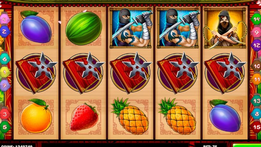 Ninja Fruits slot screen 1