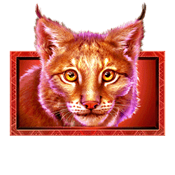 Icon 3 Buffalo Sunset