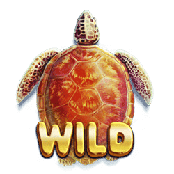 Wild Symbol of Turtle Paradise Slot