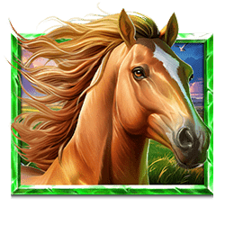 Icon 6 5 Wild Buffalo