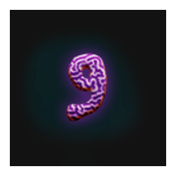 Icon 10 Dolphin Riches Hold and Win