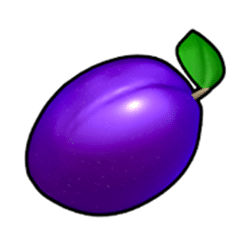 Icon 4 Fruit Express