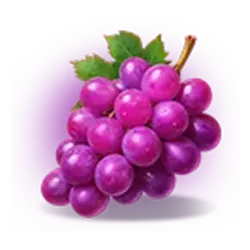 Icon 4 Fortune Coins