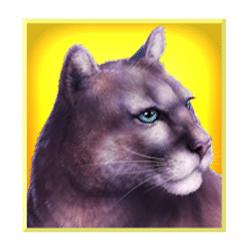 Icon 6 Wolf Moon Rising