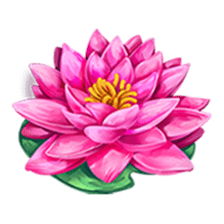 Icon 6 Dragon’s Element Deluxe