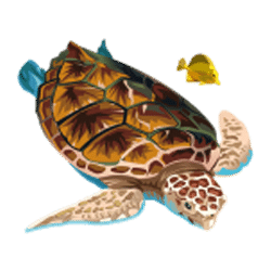 Icon 4 Dolphin Quest