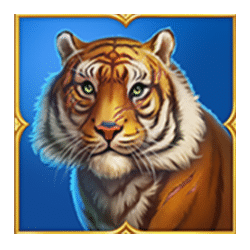 Icon 4 Tiger Tiger Wild Life