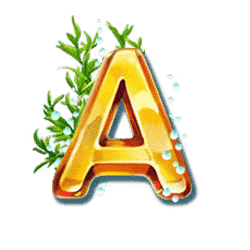 Icon 6 Turtle Paradise