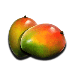 Icon 4 Wildcano with Orbital Reels