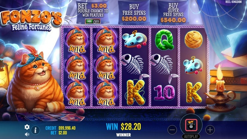 Fonzo’s Feline Fortune’s slot screen 3
