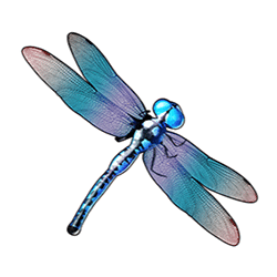 Icon 3 Big Bass Bonanza – Hold & Spinner