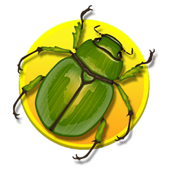 Icon 4 Forest Fortune