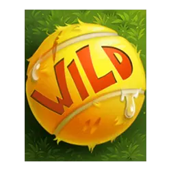 Wild Symbol of 5 Doggy Millionaires Dream Drop Slot