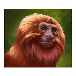 Icon 4 Panthers Reign