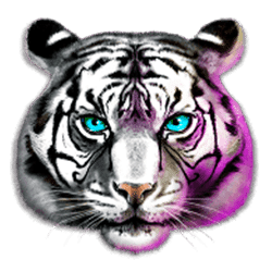 Icon 2 Chinese Tigers