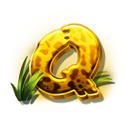 Icon 7 Jaguar Princess