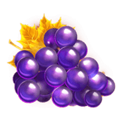 Icon 4 Fruits & Gold