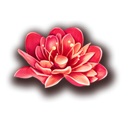 Icon 3 88 Dragons Bounty