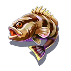 Icon 4 Marlin Masters