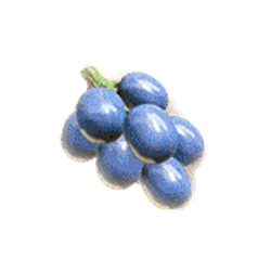 Icon 7 Mega Moolah Lucky Bells