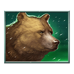 Icon 4 Vikings Winter