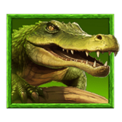 Icon 3 Tiger’s Luck