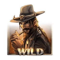 Wild Symbol of Dead or Alive 2 Slot