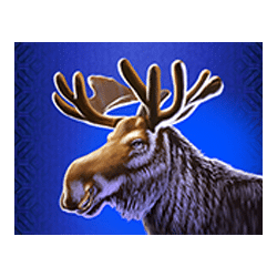 Icon 5 Buffalo Blitz II