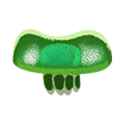 Icon 7 Fish and Bird