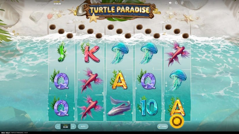 Turtle Paradise slot screen 1