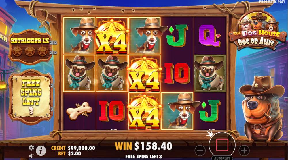 The Dog House Dog or Alive