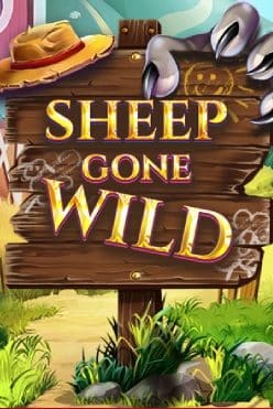 Sheep Gone Wild
