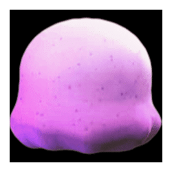 Icon 7 Sunset Delight